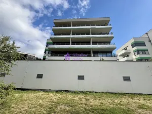 Pronájem bytu 1+kk, Olomouc - Povel, Loudova, 74 m2