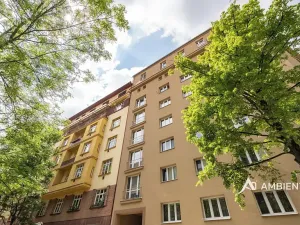 Prodej bytu 4+kk, Brno, Čápkova, 141 m2