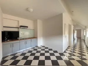 Prodej bytu 1+1, Brno, Čápkova, 54 m2