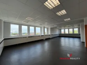 Pronájem kanceláře, Hradec Králové - Slezské Předměstí, Jižní, 113 m2