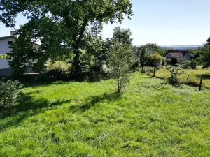 Prodej pozemku, Konstantinovy Lázně, 973 m2