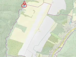 Prodej podílu lesa, Šarovy, 2437 m2