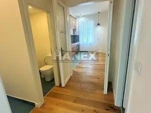 Pronájem bytu 1+1, Praha - Žižkov, Vlkova, 40 m2