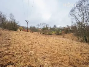Prodej pozemku pro bydlení, Malá Morava, 1400 m2