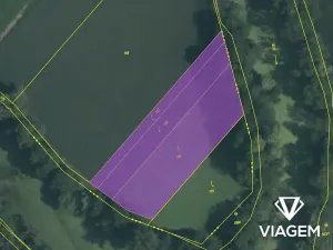 Prodej podílu pole, Slavětín, 441 m2