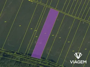Prodej podílu pole, Moravský Písek, 1000 m2