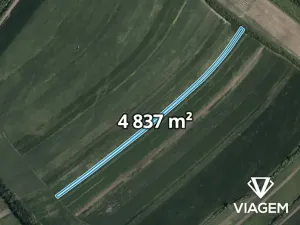 Prodej podílu pole, Hrubá Vrbka, 2418 m2