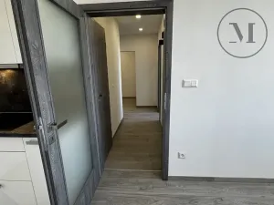 Pronájem bytu 2+kk, České Budějovice, Dlouhá, 43 m2