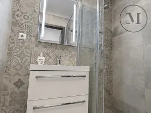 Pronájem bytu 2+kk, České Budějovice, Dlouhá, 43 m2