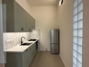 Pronájem bytu 2+1, Praha - Žižkov, 71 m2