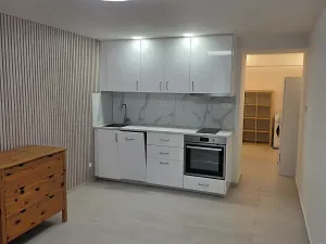 Pronájem bytu 1+kk, Praha, Nad olšinami, 27 m2