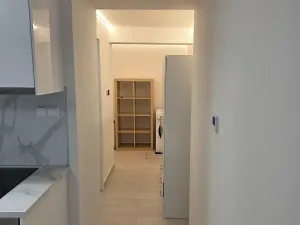 Pronájem bytu 1+kk, Praha, Nad olšinami, 27 m2