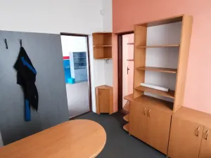 Pronájem obchodního prostoru, Hradec Králové, Panelová, 150 m2