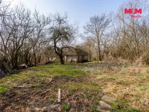 Prodej rodinného domu, Dešná - Dančovice, 120 m2
