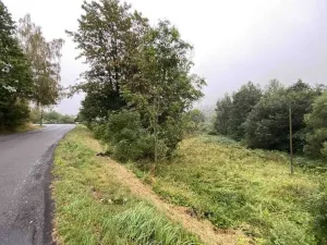 Prodej pozemku, Andělská Hora - Pustá Rudná, 1758 m2