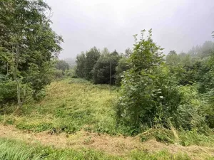 Prodej pozemku, Andělská Hora - Pustá Rudná, 1758 m2