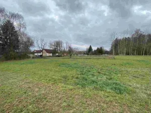 Prodej pozemku, Dolní Bukovsko, 1427 m2