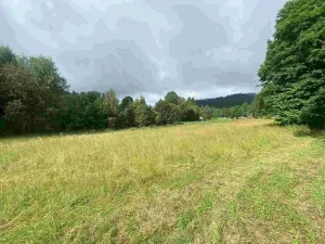 Prodej pozemku, Deštné v Orlických horách, 1500 m2