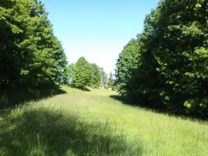 Prodej pozemku, Staré Křečany, 1188 m2
