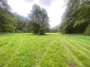 Prodej pole, Horní Čermná - Nepomuky, 32399 m2