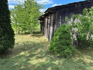 Prodej rodinného domu, Zálesí, 99 m2