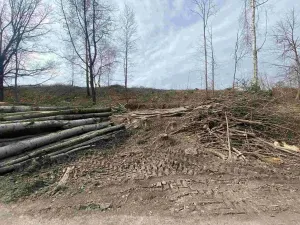 Prodej pozemku, Horní Stropnice - Šejby, 1757 m2