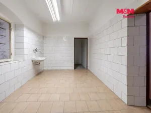 Prodej obchodního prostoru, Týnec nad Labem, Havlíčkova, 207 m2