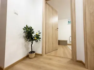 Prodej bytu 3+kk, Brno, 51 m2