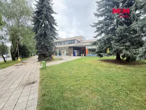 Pronájem obchodního prostoru, Rychnov nad Kněžnou, Havlíčkova, 291 m2