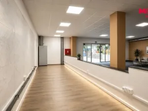 Pronájem obchodního prostoru, Rychnov nad Kněžnou, Havlíčkova, 291 m2