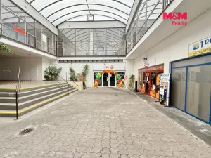Pronájem obchodního prostoru, Rychnov nad Kněžnou, Havlíčkova, 291 m2
