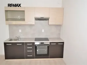 Pronájem bytu 1+kk, Plzeň, Studentská, 44 m2