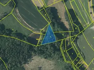 Prodej lesa, Čáslavsko, 2039 m2