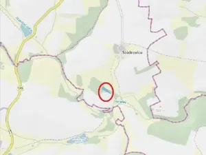 Prodej lesa, Čáslavsko, 3140 m2