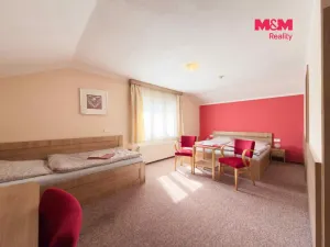 Pronájem ubytování, Karviná - Lázně Darkov, Lázeňská, 650 m2