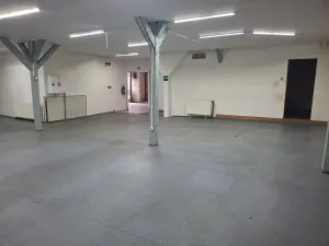 Pronájem obchodního prostoru, Žatec, Nákladní, 350 m2