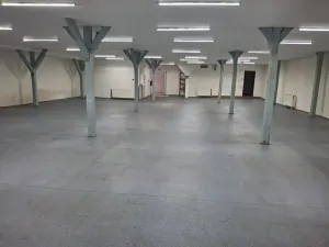 Pronájem obchodního prostoru, Žatec, Nákladní, 350 m2