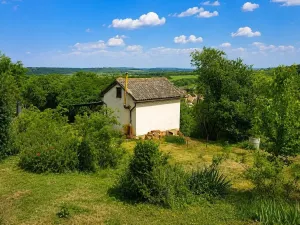 Prodej chaty, Libčice nad Vltavou, 28 m2