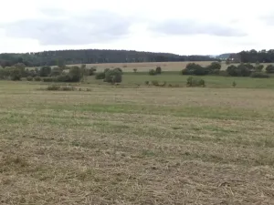 Dražba pole, Tachov, 842 m2