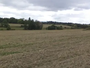 Prodej pole, Tachov, 842 m2