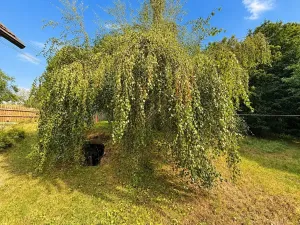 Prodej rodinného domu, Koberovice, 75 m2