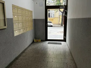 Pronájem bytu 1+kk, Praha - Vinohrady, Řipská, 46 m2