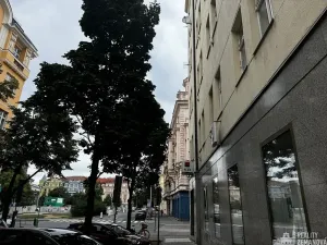 Pronájem bytu 1+kk, Praha - Vinohrady, Řipská, 46 m2