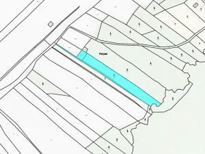 Prodej lesa, Křižanov, 5221 m2
