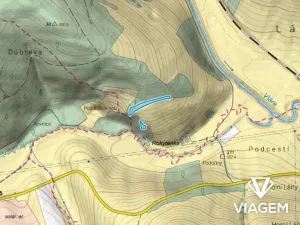 Prodej podílu lesa, Bohuslavice nad Vláří, 1301 m2
