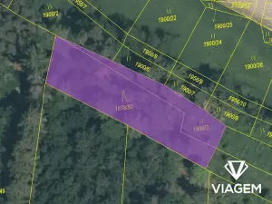 Prodej lesa, Sepekov, 1300 m2
