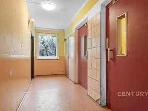 Pronájem bytu 4+1, Česká Lípa, Pražská, 103 m2