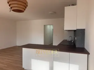 Pronájem bytu 2+kk, Teplice, Albrechtova, 70 m2
