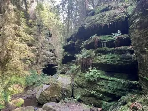 Prodej ubytování, Děčín, 450 m2