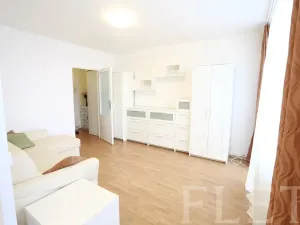 Pronájem bytu 1+kk, Praha - Krč, Tajovského, 34 m2